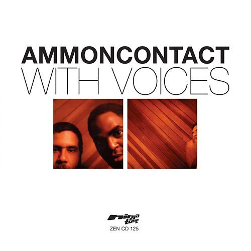 AmmonContact feat. Kamau Daaood - A Zillion Tambourines