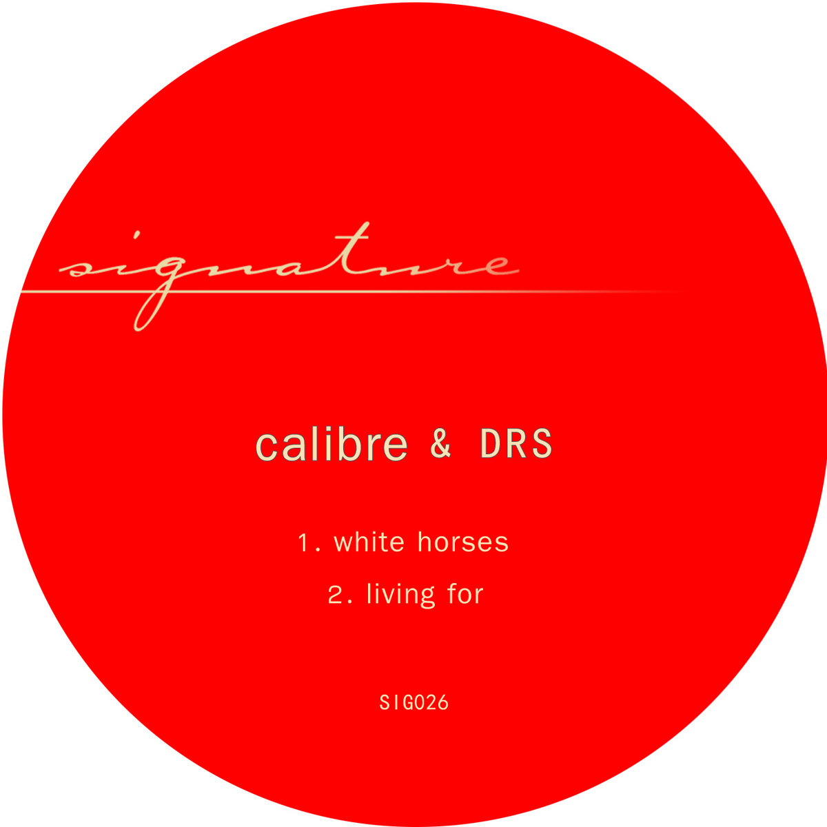 Calibre & DRS - White Horses